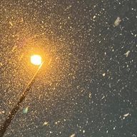 ⛄️さんのアイコン画像