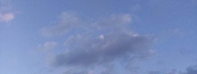 葵さんの壁紙画像