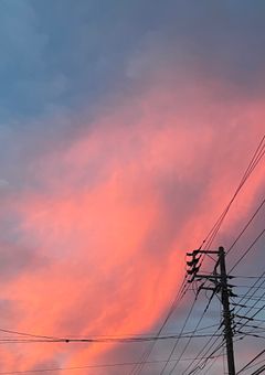 僕の日記