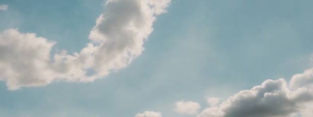 誠仁さんの壁紙画像