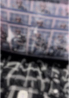 　✦ 雑