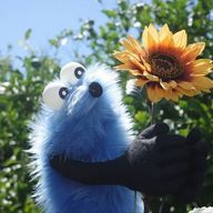 さめ🦈🫧 # おやすみ 。さんのアイコン画像