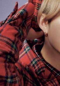 小 さ な ラ イ オ ン