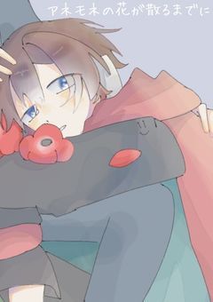 アネモネの花が散るまでに