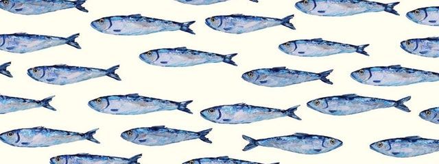とんさんの壁紙画像