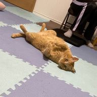 えりり🍏さんのアイコン画像