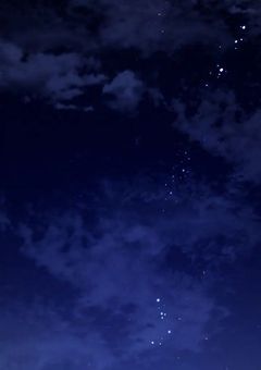 深夜2時と渡り鳥【wtri】
