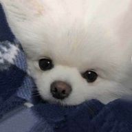 JIHOONさんのアイコン画像