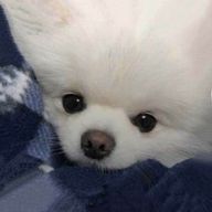 JIHOONさんのアイコン画像