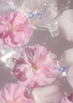 美学