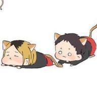 世界滅亡さんのアイコン画像