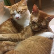 6.5さんのアイコン画像