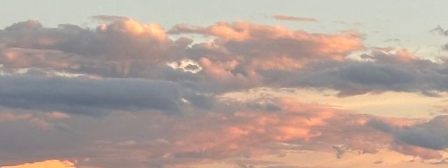 ʕ ◦`꒳´◦ʔさんの壁紙画像