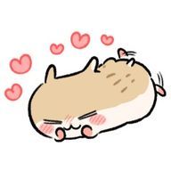 ♡さんのアイコン画像