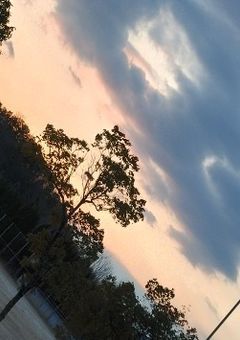 序列1〜3位のハウスは仲が良くor悪いそうで