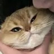 Haaaruuuさんのアイコン画像