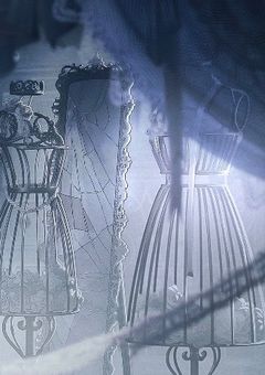 mirm￤元気な表の裏には？