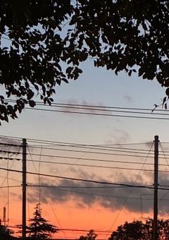 シェアハウス、友達の推ししか居ない件について