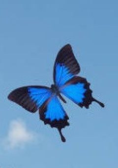 良い子と 悪い子と 