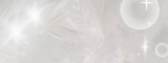 せりなさんの壁紙画像