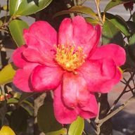 潤恵さんのアイコン画像