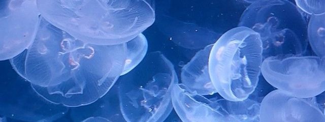 なの.さんの壁紙画像