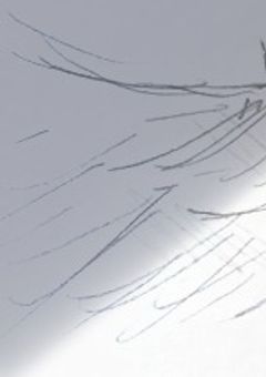 呪いの館に入った少女?!愛されました。