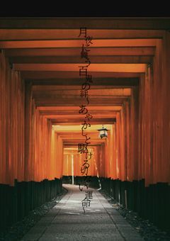 月夜に舞う、百鬼の絆～あやかしと駆ける、切ない運命～