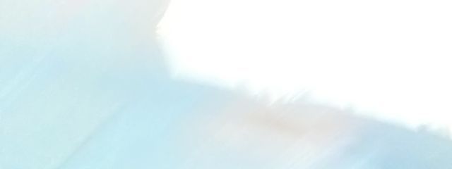 猫かわいいさんの壁紙画像