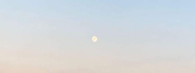 でぽぽぽんさんの壁紙画像