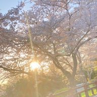 でぽぽぽんさんのアイコン画像