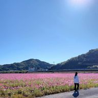 みりんさんのアイコン画像