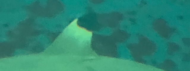 ：3さんの壁紙画像