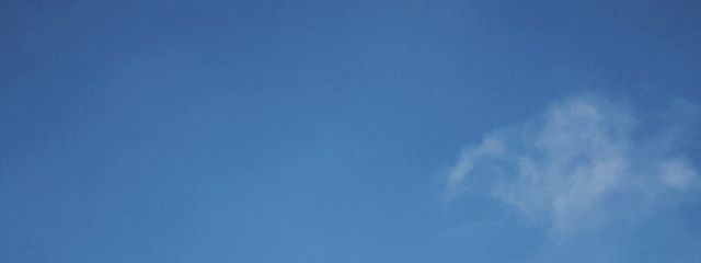 ℳ　。　🕶️さんの壁紙画像