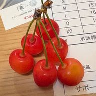リゼッタさんのアイコン画像