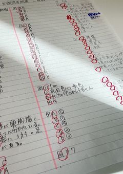 𝚜𝚝𝚞𝚍𝚢 𝚛𝚘𝚘𝚖