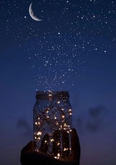 ほしちゃ専用部屋