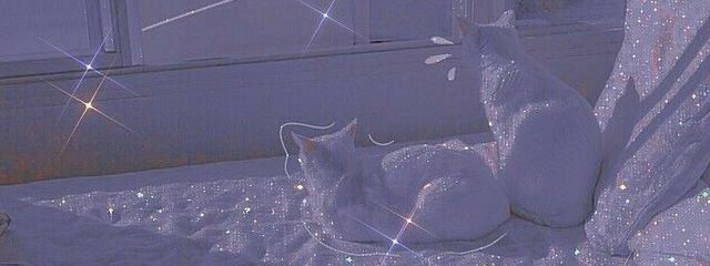 乙宮さんの壁紙画像