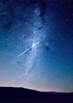 もう一人のヒーロー、植物状態だったそうで