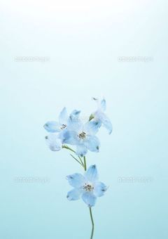 転生したらチートでした！