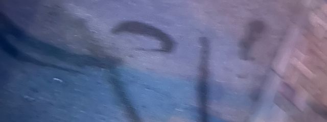 み ぐさんの壁紙画像