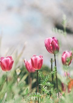 　#世界でいちばんお姫様