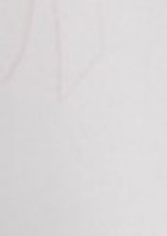 実体研究員 ｢参加型｣