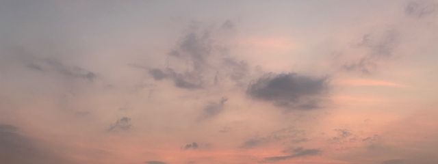 MOMOさんの壁紙画像