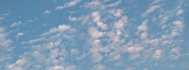 味噌汁٩( ᐛ )وさんの壁紙画像