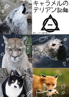 キャラメルのセリアン記録╶⃝⃤ 