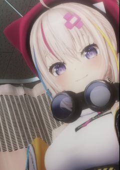 貴方はずっと、私の目標だったのに…