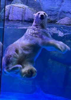 ゆっきーの部屋