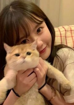 先輩!好きです!