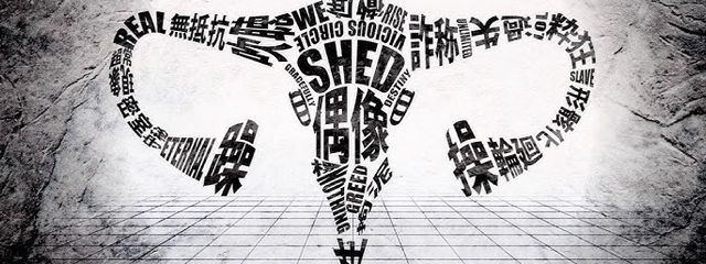 名称未設定さんの壁紙画像
